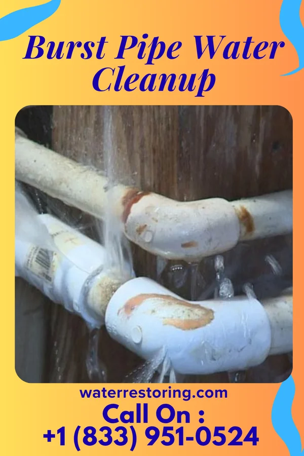 Burst Pipe Water Cleanup in Dexter, GA