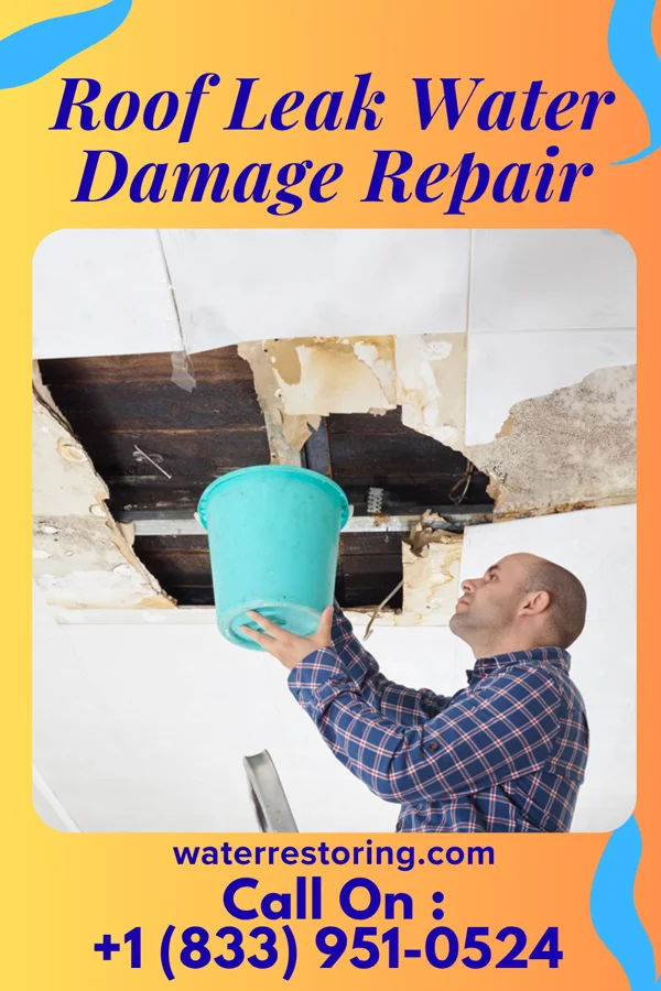 Roof Leak Water Damage Repair in Dexter, GA